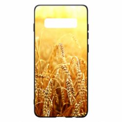 Чехол для Samsung S10+ Колоски - PrintSalon