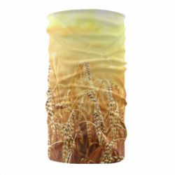 Бандана Колоски