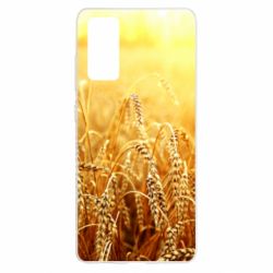 Чехол для Samsung S20 FE Колоски - PrintSalon