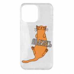Чохол для iPhone 14 Pro Max Кот Атибітєсь
