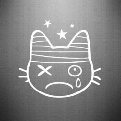 Наклейка Кіт-пірат