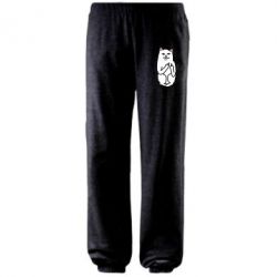 Штаны Кот с факом - PrintSalon