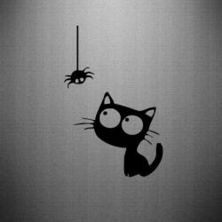 Наклейка Котик і павук