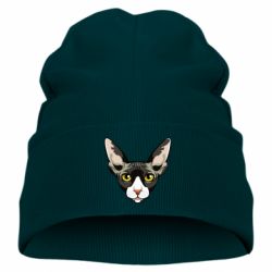 Детская шапка Котя сфинкс желтые глаза