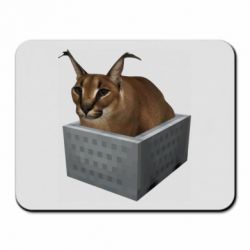 Коврик для мыши Шлепа в тазике - PrintSalon