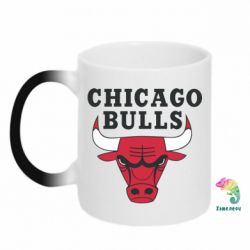 Чашка-хамелеон Chicago Bulls Classic - PrintSalon