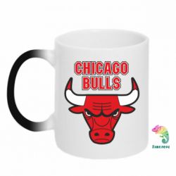 Чашка-хамелеон Chicago Bulls vol.2 - PrintSalon