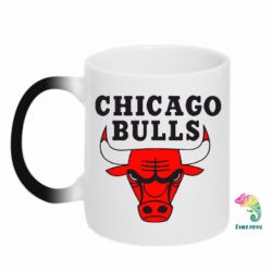 Чашка-хамелеон Chicago Bulls