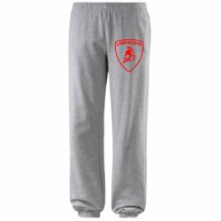 Штаны Lamborghini Auto - PrintSalon