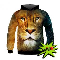 Дитяче 3D худі Лео