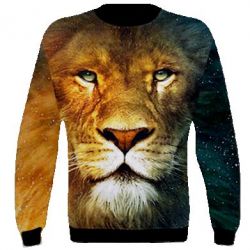 3D світшот Лео - PrintSalon