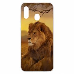 Чехол для Samsung A20 Lion in the field - PrintSalon