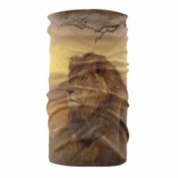 Бандана Lion in the field - PrintSalon