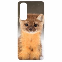 Чохол для Oppo Reno 4 Pro Little marten - PrintSalon