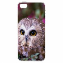 Чехол для iPhone5/5S/SE Little owl - PrintSalon
