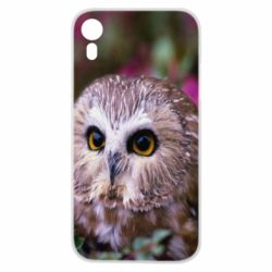 Чехол для iPhone XR Little owl - PrintSalon