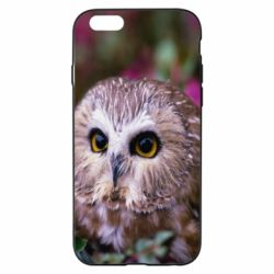 Чехол для iPhone 6/6S Little owl - PrintSalon