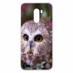 Чехол для Xiaomi Pocophone F1 Little owl - PrintSalon