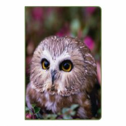 Блокнот с принто Little owl - PrintSalon