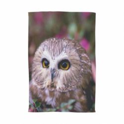 Полотенце с принтом Little owl - PrintSalon