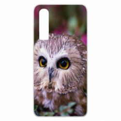 Чехол для Huawei P30 Little owl - PrintSalon