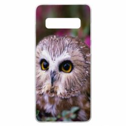 Чехол для Samsung S10+ Little owl - PrintSalon