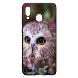Чехол для Samsung A20 Little owl - PrintSalon