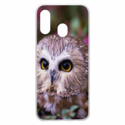 Чехол для Samsung A40 Little owl - PrintSalon