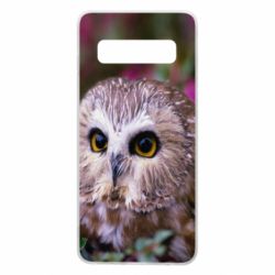 Чехол для Samsung S10 Little owl - PrintSalon