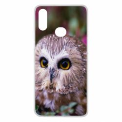 Чехол для Samsung A10s Little owl - PrintSalon