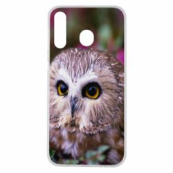 Чехол для Samsung M30 Little owl - PrintSalon
