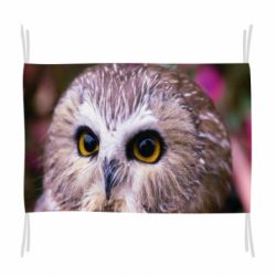 Флаг Little owl - PrintSalon