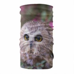Бандана Little owl - PrintSalon