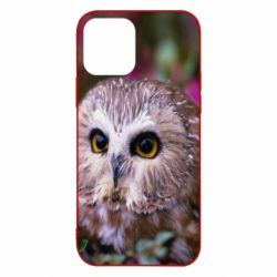 Чехол для iPhone 12 Little owl - PrintSalon