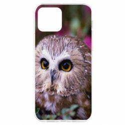 Чехол для iPhone 12 Pro Little owl - PrintSalon