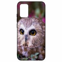 Чехол для Samsung A02s/M02s Little owl - PrintSalon