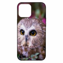 Чехол для iPhone 12 Pro Max Little owl - PrintSalon