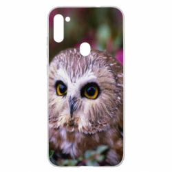 Чехол для Samsung A11/M11 Little owl - PrintSalon