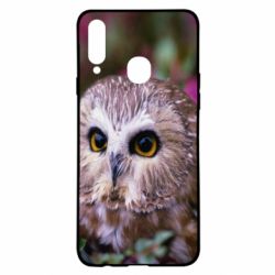 Чехол для Samsung A20s Little owl - PrintSalon