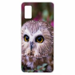 Чехол для Samsung A41 Little owl - PrintSalon