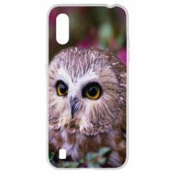 Чехол для Samsung A01/M01 Little owl - PrintSalon
