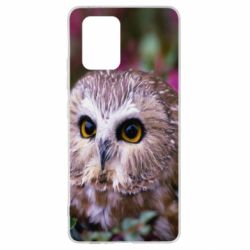 Чехол для Samsung S10 Lite Little owl - PrintSalon
