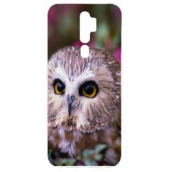 Чехол для Oppo A5/A9 2020 Little owl - PrintSalon