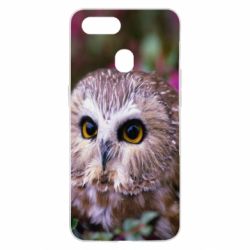 Чехол для Oppo A5s/A12 Little owl - PrintSalon