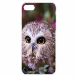 Чехол для iPhone SE 2022 Little owl - PrintSalon