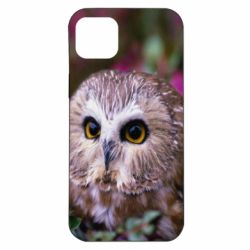 Чехол для iPhone 14 Plus Little owl - PrintSalon