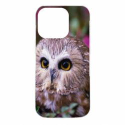 Чехол для iPhone 14 Pro Little owl - PrintSalon