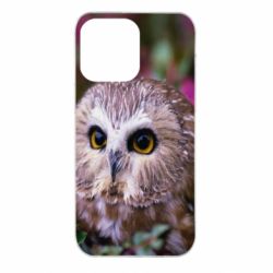 Чехол для iPhone 14 Pro Max Little owl - PrintSalon