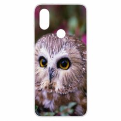Чехол для Xiaomi Mi A2 Little owl - PrintSalon