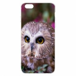 Чехол для iPhone 6 Plus/6S Plus Little owl - PrintSalon